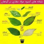 طرح جابر عناصر خاک که در رشد گیاهان موثرند